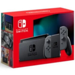 Switch 2022版 グレー  HAD-S-KAAAH